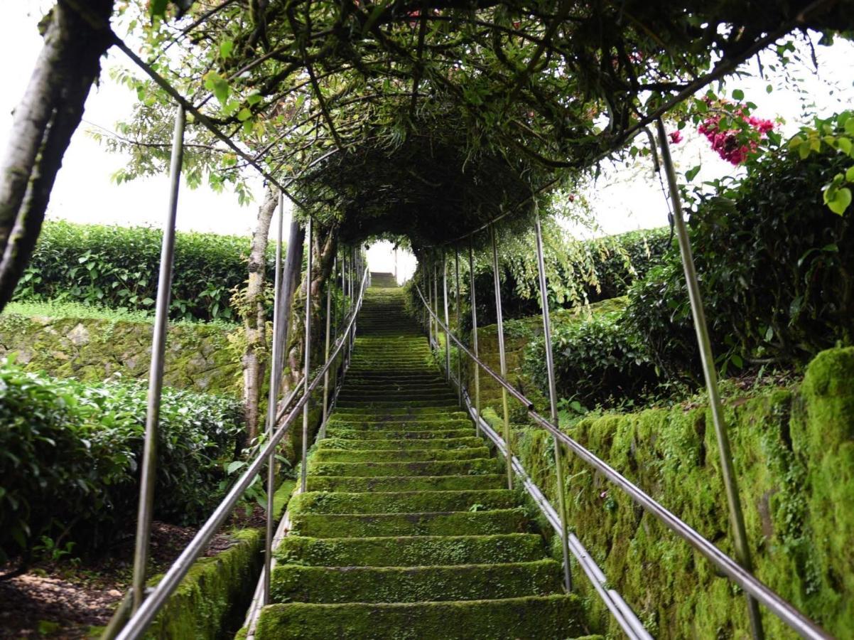 펀치후 Drizzle Tea House B&B 외부 사진